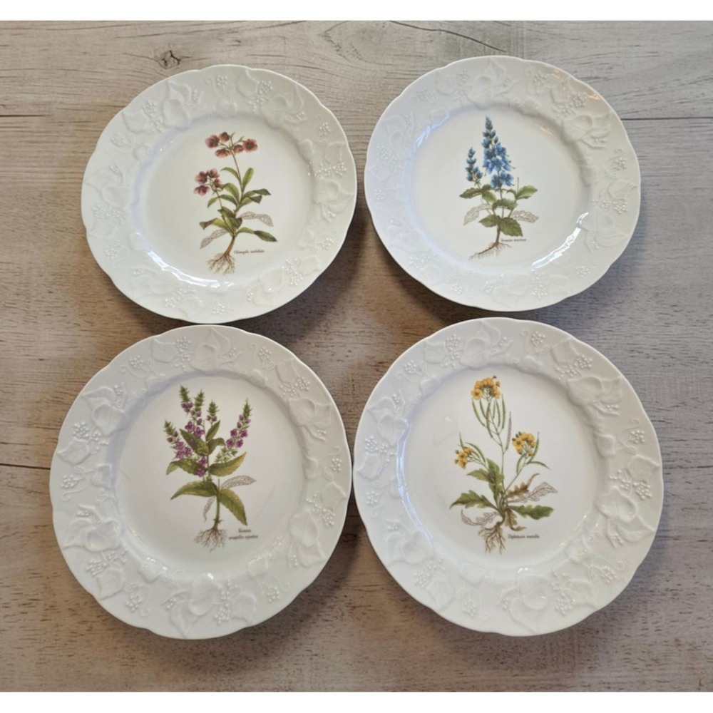 Set Of 4 Dansk Porcelain White Ivy Floral Botanical 9.5" Luncheon Plates France
